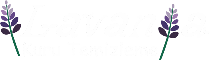 Temizlik Firması V1